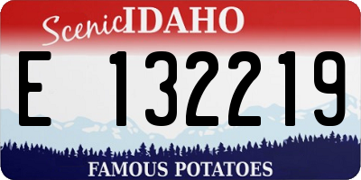 ID license plate E132219