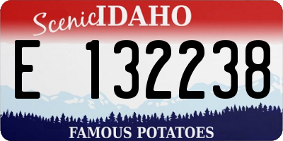 ID license plate E132238