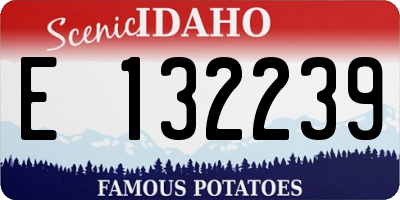 ID license plate E132239
