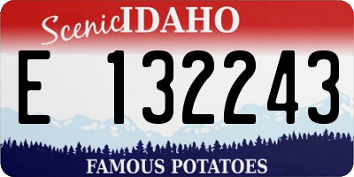 ID license plate E132243