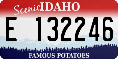 ID license plate E132246