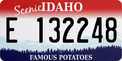 ID license plate E132248
