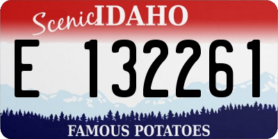 ID license plate E132261