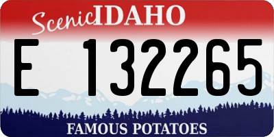 ID license plate E132265