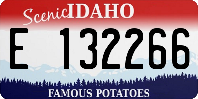 ID license plate E132266