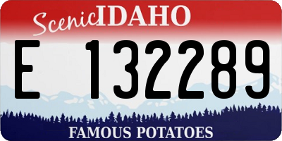 ID license plate E132289