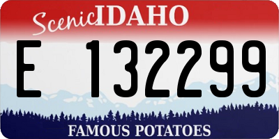 ID license plate E132299