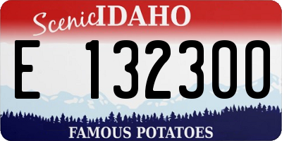 ID license plate E132300