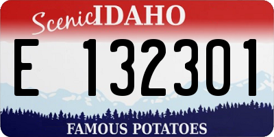 ID license plate E132301