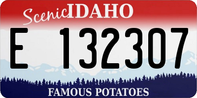 ID license plate E132307