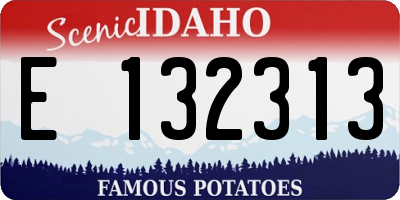 ID license plate E132313