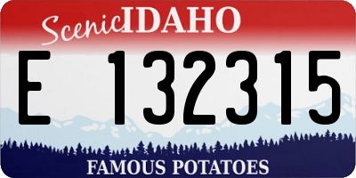 ID license plate E132315
