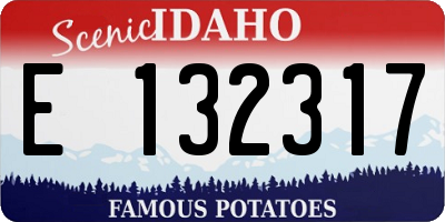 ID license plate E132317