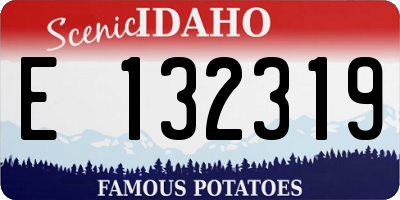 ID license plate E132319