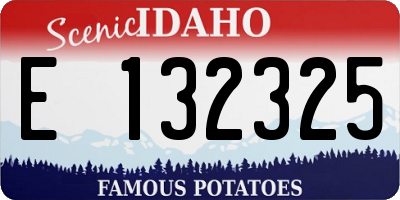 ID license plate E132325