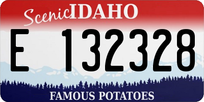 ID license plate E132328