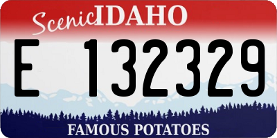 ID license plate E132329