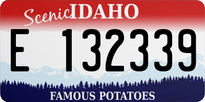 ID license plate E132339