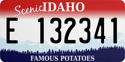 ID license plate E132341
