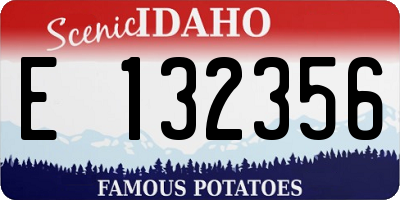 ID license plate E132356