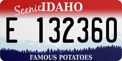 ID license plate E132360