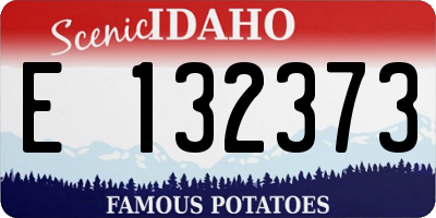 ID license plate E132373