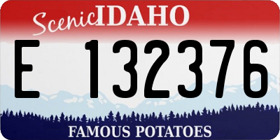 ID license plate E132376