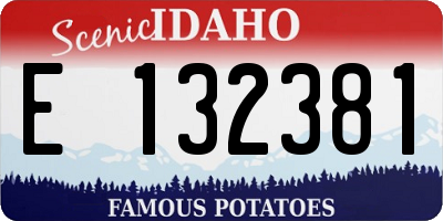 ID license plate E132381