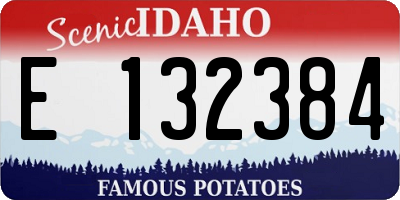 ID license plate E132384