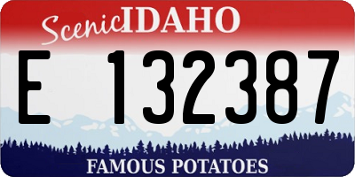ID license plate E132387