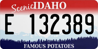 ID license plate E132389