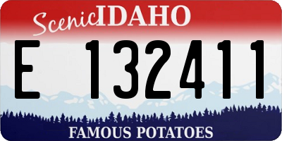ID license plate E132411