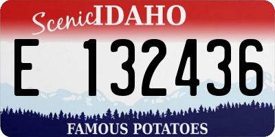 ID license plate E132436