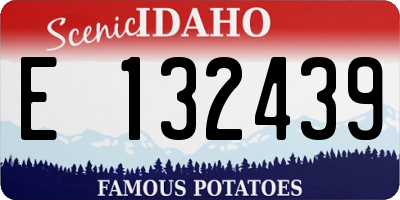 ID license plate E132439