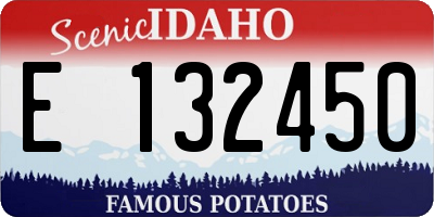 ID license plate E132450
