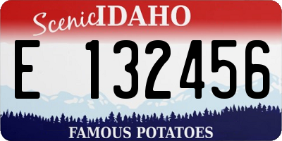 ID license plate E132456