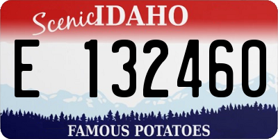 ID license plate E132460
