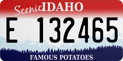 ID license plate E132465