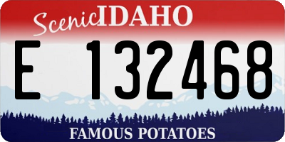 ID license plate E132468