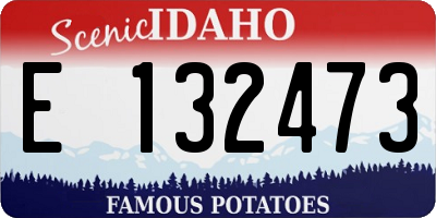 ID license plate E132473