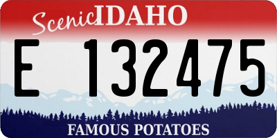 ID license plate E132475