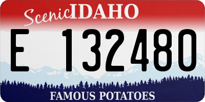 ID license plate E132480