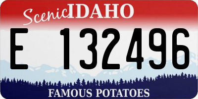 ID license plate E132496