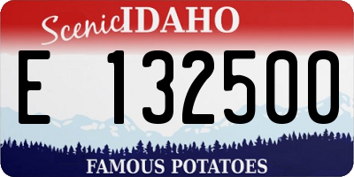 ID license plate E132500