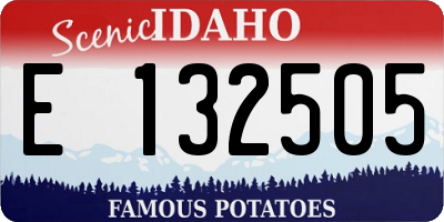ID license plate E132505