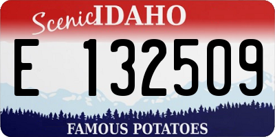 ID license plate E132509