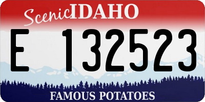 ID license plate E132523