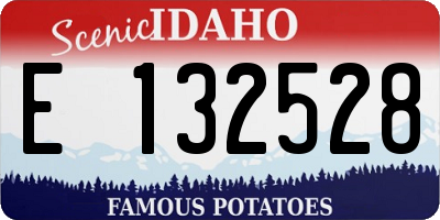 ID license plate E132528