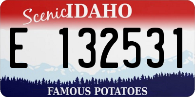 ID license plate E132531