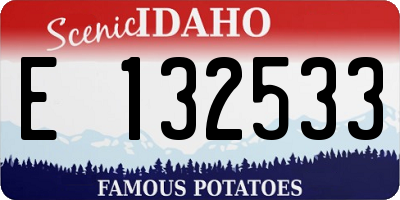 ID license plate E132533